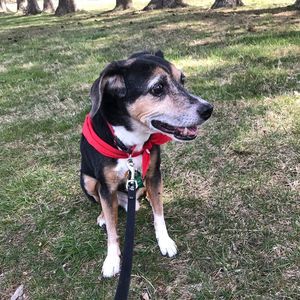 Meet your Posher, Barbara